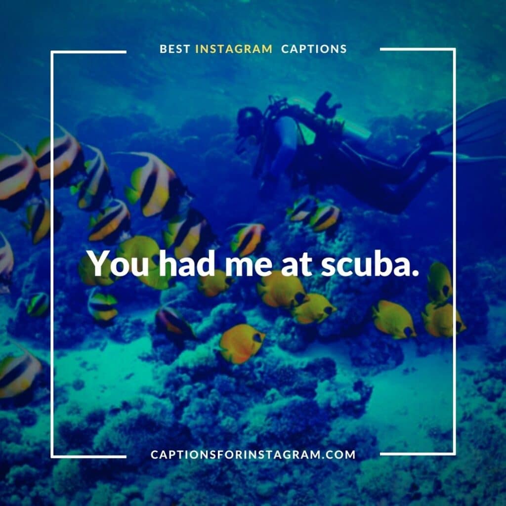 Short Scuba diving caption