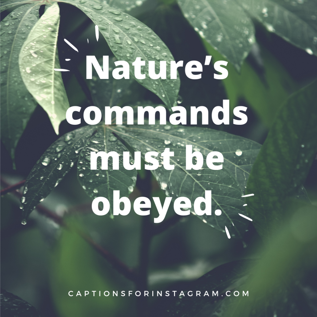 Nature’s commands must be obeyed - Nature Quotes For Instagram Photos