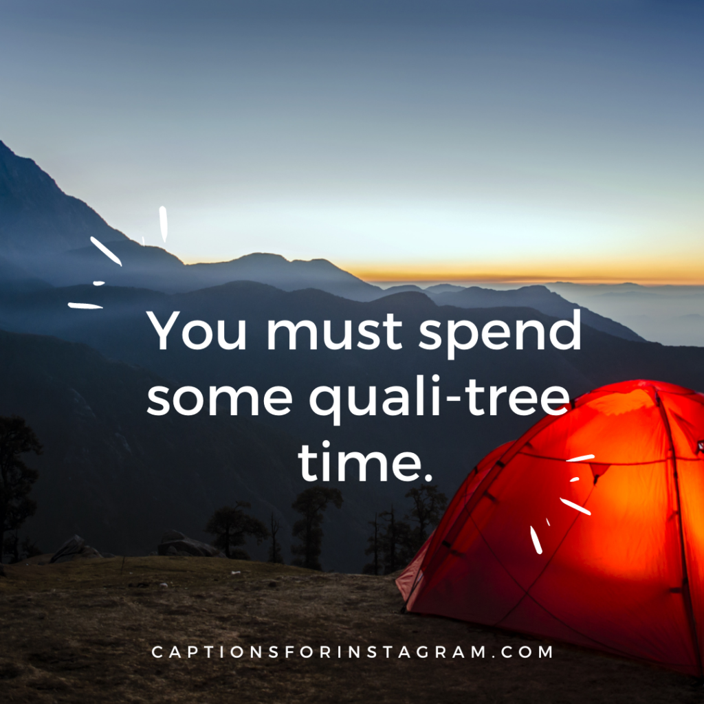 You must spend some quali-tree time.