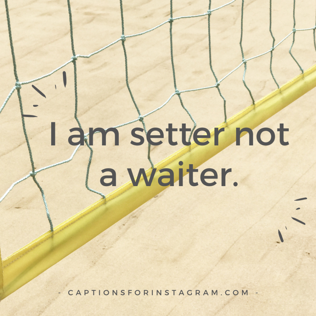 I am setter not a waiter.