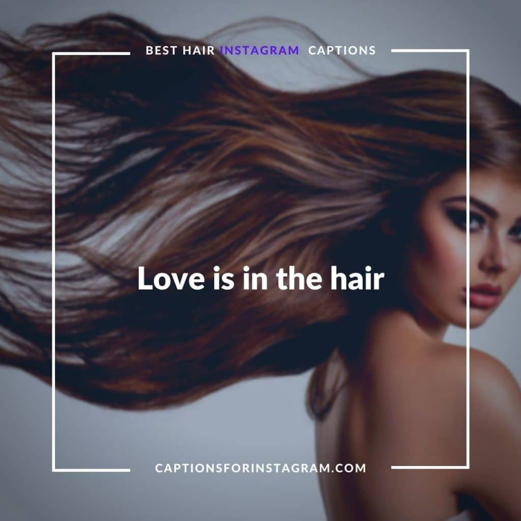 Love is in the hair - Funny hair Captions for Instagram 