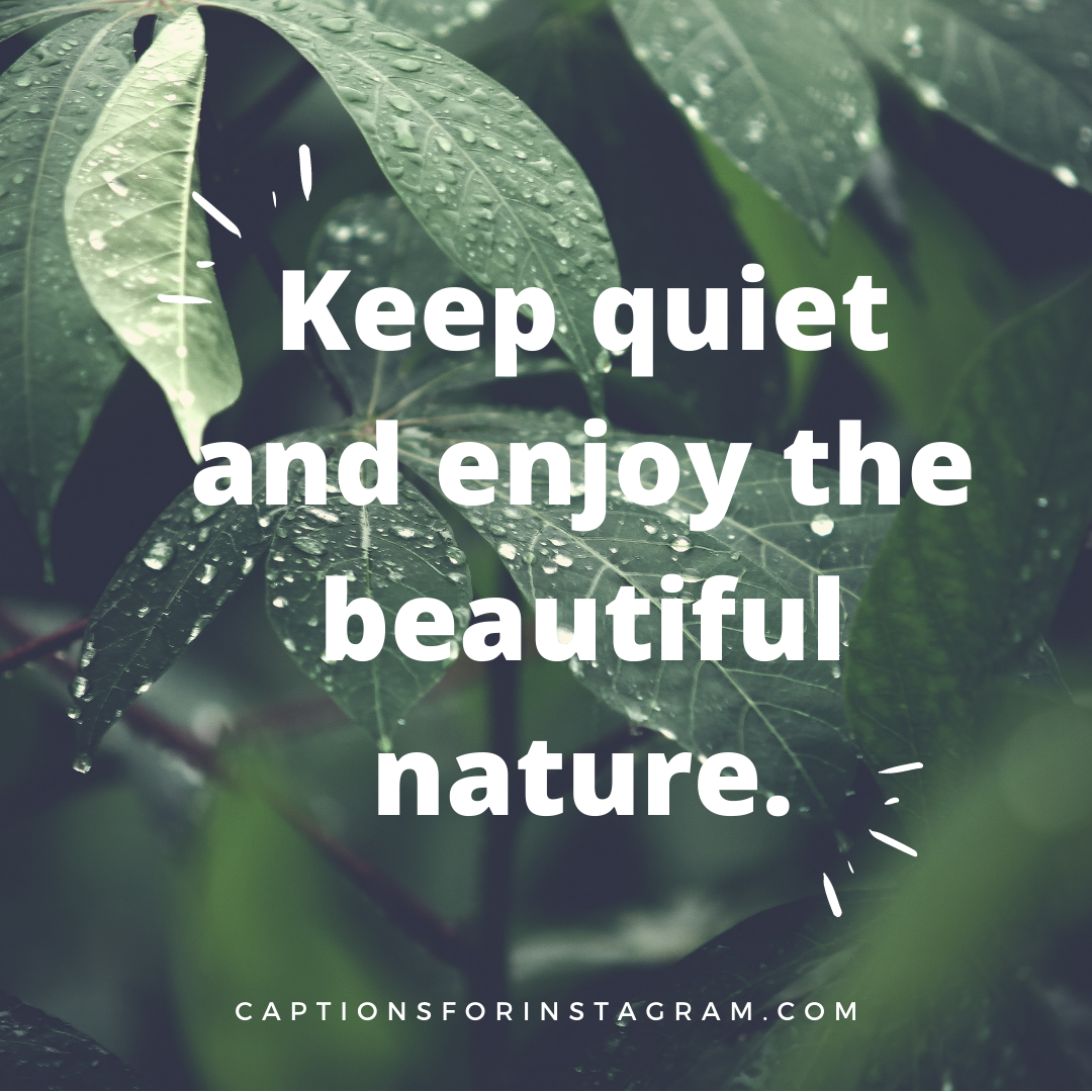 100+ Beautiful Best Nature Captions for Instagram Pinterest