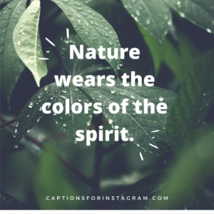 Nature wears the colors of the spirit - Captions For Scenery Pictures from Pinterest.