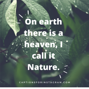 On earth there is a heaven, I call it Nature.