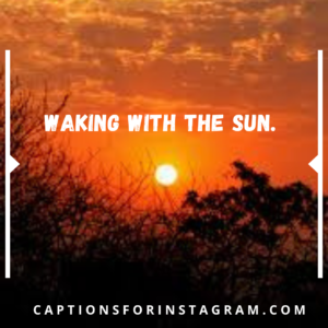best sunrise captions for instagram