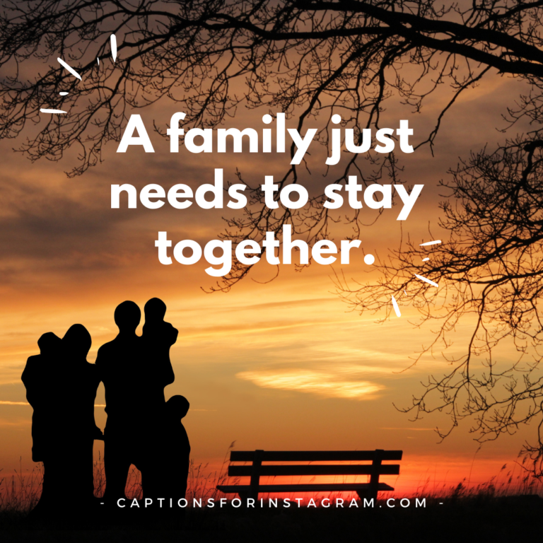 99+ Best Captions for Family Pictures for Instagram - Captions For ...