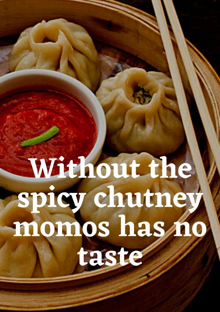 100+ Best MOMOS Captions, Status, Pun, Quotes for food lover