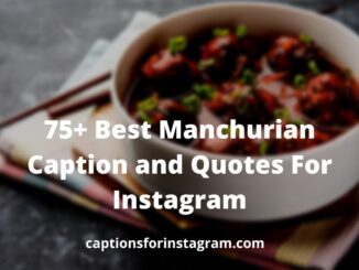75+ Best Manchurian Caption and Quotes For Instagram CaptionsForInstagram.com