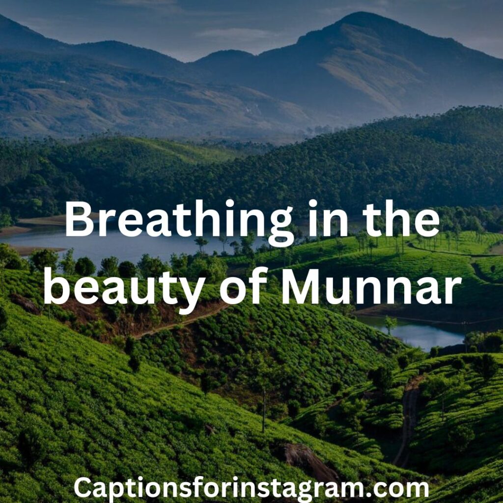 Breathing in the beauty of Munnar - munnar quotes