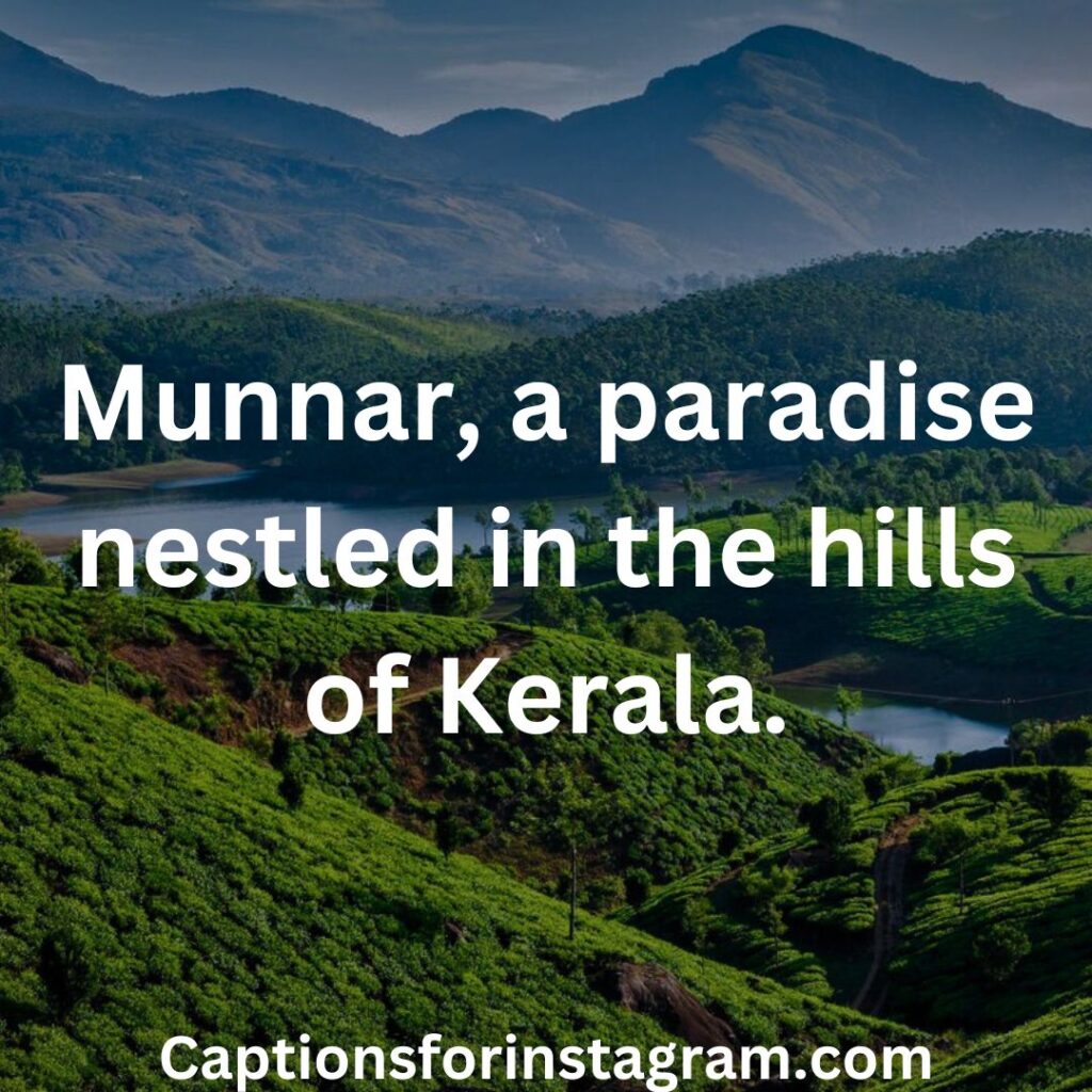 Munnar, a paradise nestled in the hills of Kerala. - munnar quotes and captions
