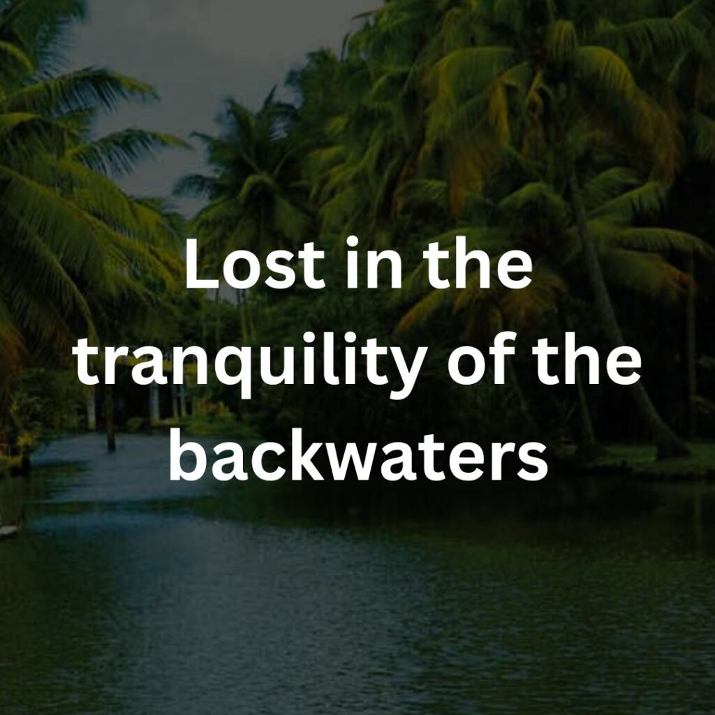 Lost in the tranquility of the backwaters backwater captions